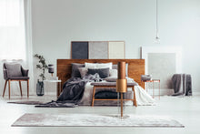 Afbeelding in Gallery-weergave laden, Luchtreiniger LightAir IonFlow Signature | Bruin / houtlook | 50 m2 | Luchtreiniger met ionisator